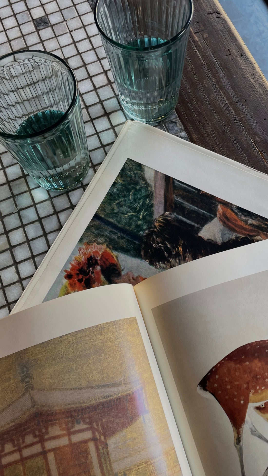 Meet the Bgirl Journals
